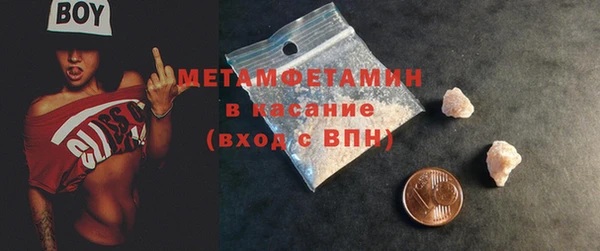 гидра Богородск