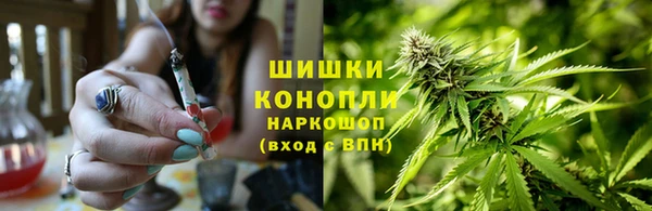 марки nbome Богданович