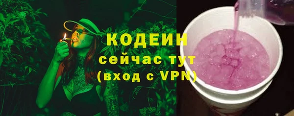 крисы Бородино