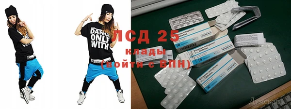 гидра Богородск