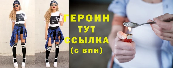 крисы Бородино