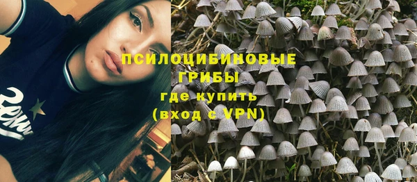 хмурый Богородицк