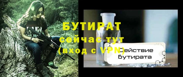 гидра Богородск