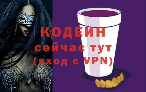гидра Богородск