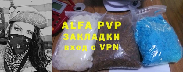 гидра Богородск